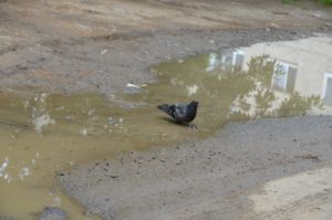 Лужа во дворе