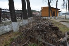 Мусор у ТИЦ