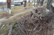 Мусор у ТИЦ