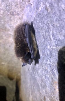 Поход на Сугомак