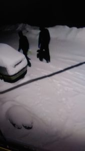 Поджег машин