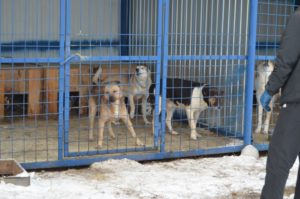 ПКС