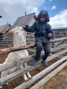 Животные "Парка сказов"