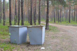 Чистый берег