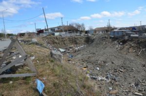 Микрорайон Каменный цветок