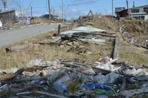 Микрорайон Каменный цветок