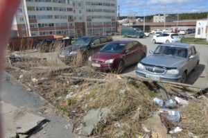 Микрорайон Каменный цветок