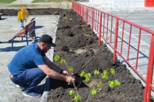 Двадцать лип юбилею Победы