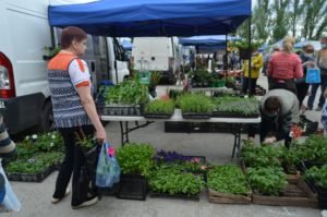 сельхозярмарка 2020