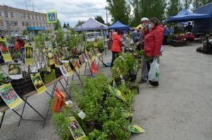 сельхозярмарка 2020