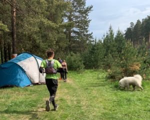 Соревнование по ориентированию