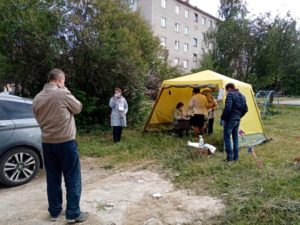 Выездное голосование