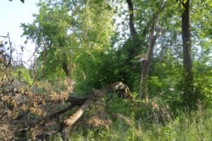 Благоустройство Сысерти