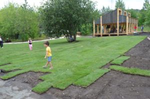 Лето на заводе