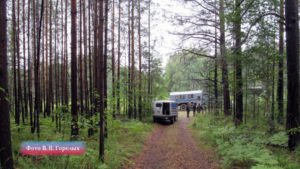 Стрельба в Терсутском охотхозяйстве