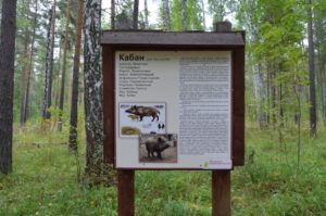 Парк Бажовские места