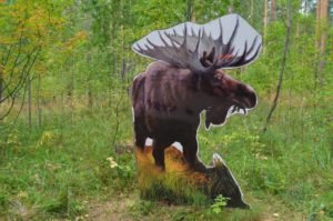 Парк Бажовские места