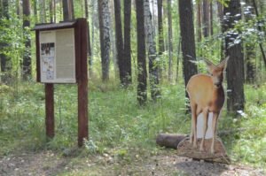 Парк Бажовские места