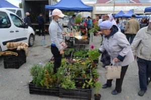 Сельхозярмарка