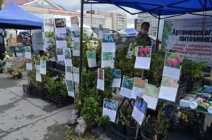 Сельхозярмарка