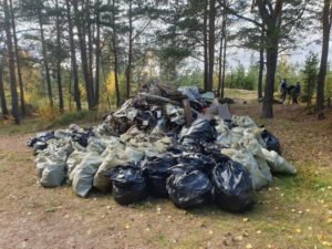 Субботник в лесу