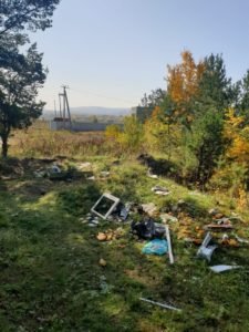 Субботник в лесу