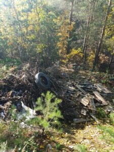 Субботник в лесу