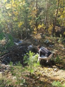 Субботник в лесу