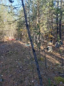 Субботник в лесу