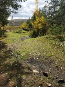 Субботник в лесу