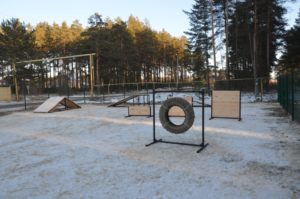 Собачья площадка