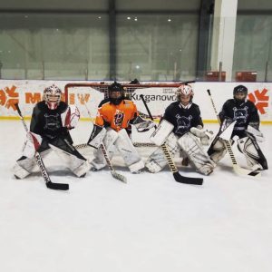 Сысертский хоккей