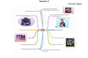 Геологический турнир