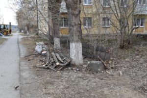 Р. Люксембург