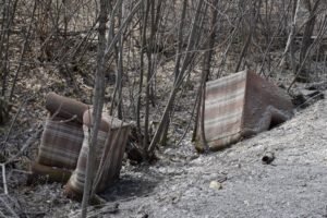 Мусор в лесу