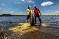 День очистки водоемов