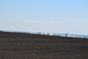 Губернатор в Патрушах