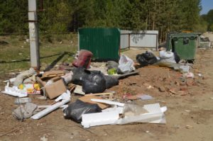 Мусор в Сысерти