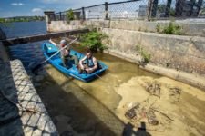 День очистки водоемов
