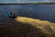 День очистки водоемов
