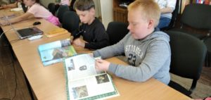 Детская библиотека