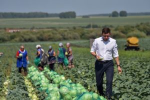Губернатор в "Белореченском"