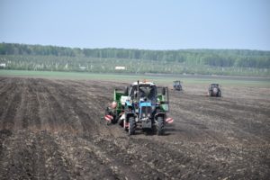 ООО Картофель