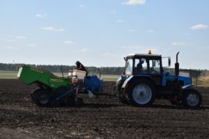 ООО Картофель