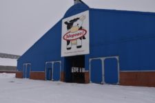 Агрофирма "Патруши"