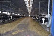 Агрофирма "Патруши"