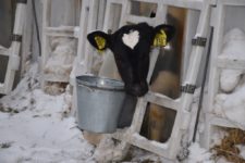 Агрофирма "Патруши"