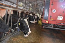 Агрофирма "Патруши"