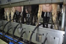 Агрофирма "Патруши"