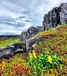 Вокруг России